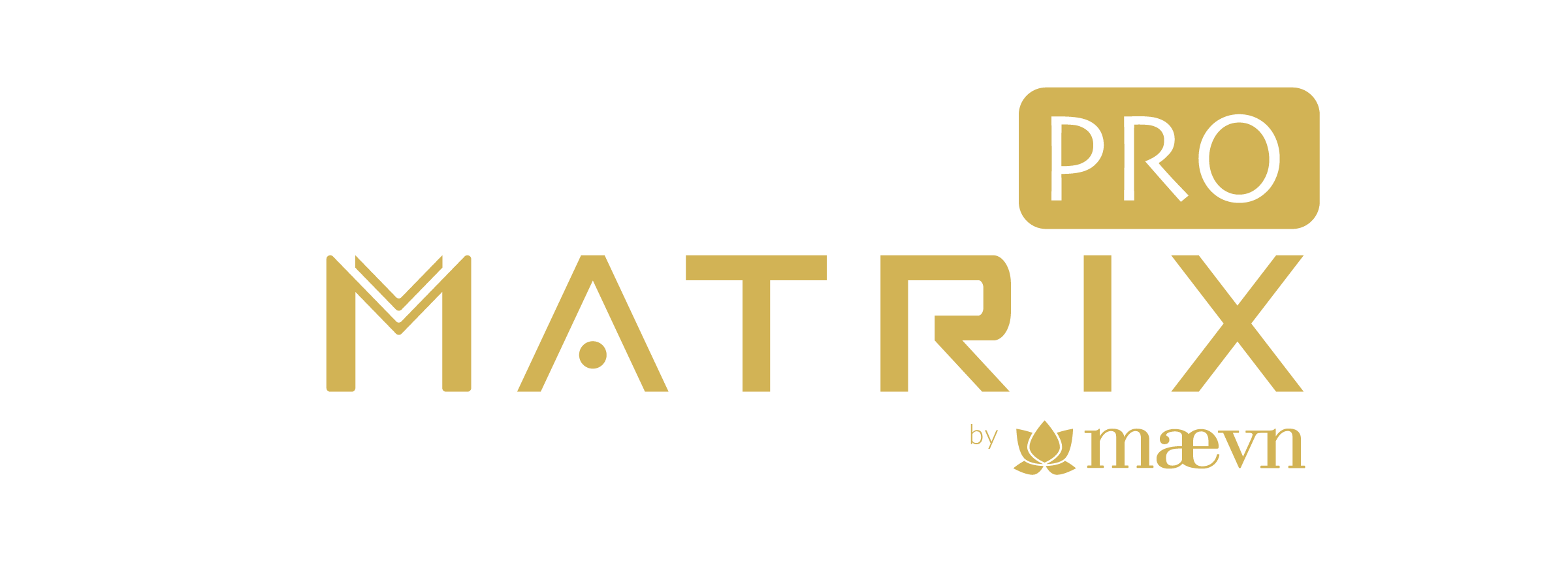 logo matrix pro